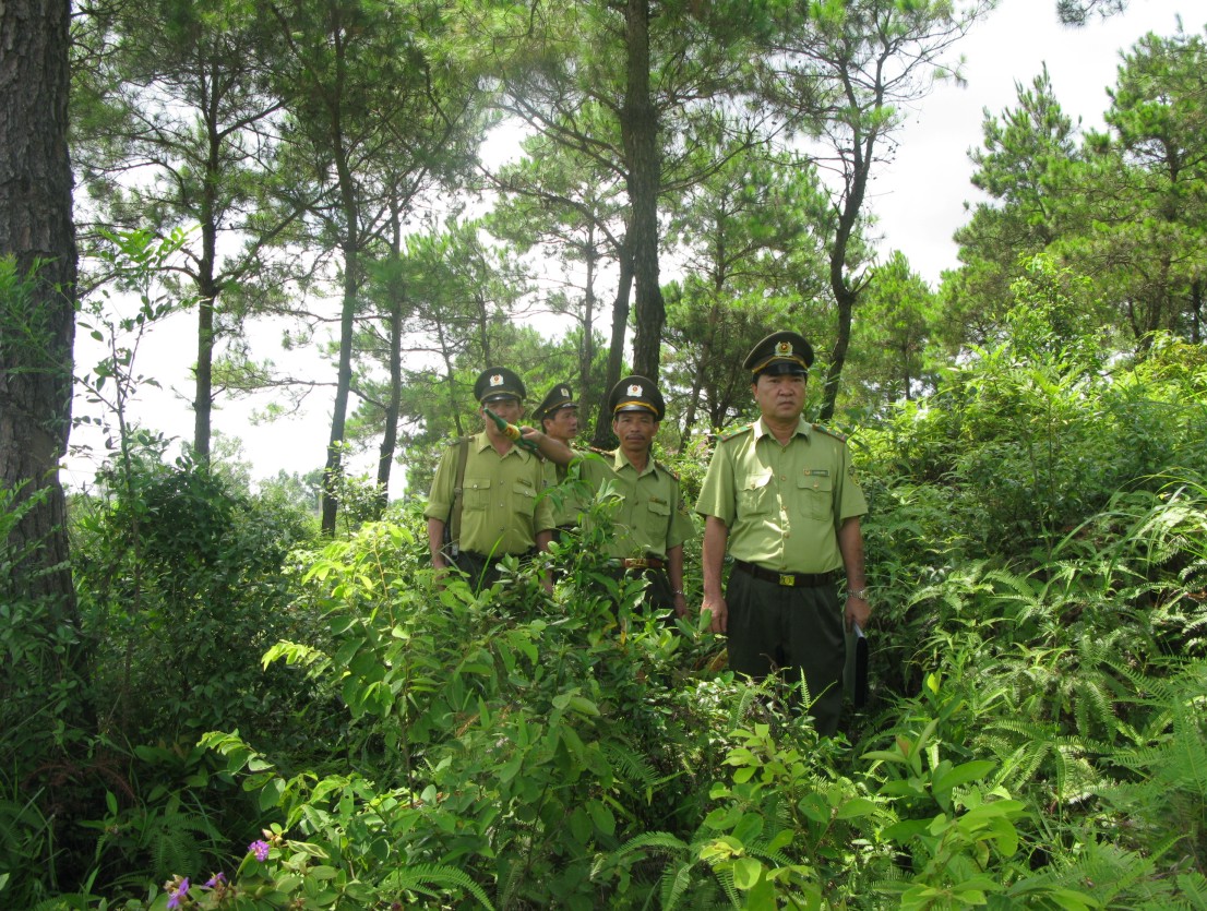Tuyên[-]Quang[-]tăng[-]cường[-]bảo[-]vệ[-]và[-]phát[-]triển[-]rừng